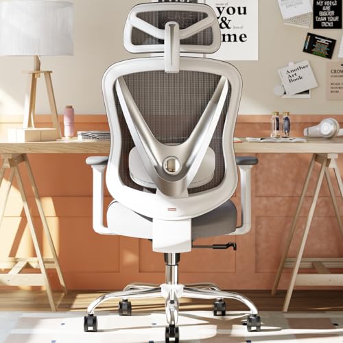HOLLUDLE Ergonomic Mesh Office Chair - 3D Adjustable Lumbar Support & 3D Armrests, V-Shaped Back, Adjustable Desk Chair for Office & Home, White HOLLUDLE