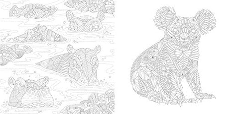 Animal Kingdom: Color Me, Draw Me (A Millie Marotta Adult Coloring Book) Union Square & Co.