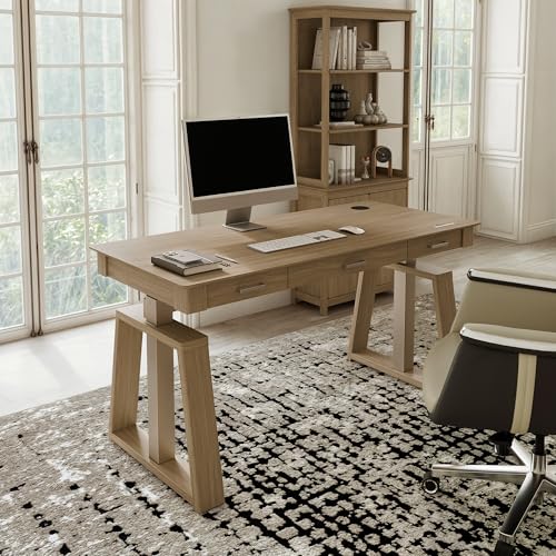 EUREKA ERGONOMIC Standing Desk,60x26 Executive Desk with 3 Drawer Adjustable Height Electric Desk Home Office Computer Desk Modern Workstation with Memory Controller EUREKA ERGONOMIC