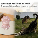 Pet Loss Sympathy Gift – Rose Quartz Heart Crystal with Memorial Card, In Loving Memory Keepsake, Healing Crystal for Dog Loss, Bereavement Support Gift, Pocket Hug for Easter Comfort (Pet Loss)