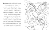 Bird Book for Kids: Coloring Fun and Awesome Facts (A Did You Know? Coloring Book) WoodArtSupply