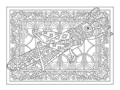 Creative Haven Incredible Insect Designs Coloring Book: Creative Haven Incredible Insect Designs Coloring Book (Adult Coloring Books: Insects) Dover Publications
