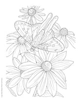 Creative Haven Butterfly Gardens Coloring Book; A Journey through Nature For Stress Relief and Relaxation (Adult Coloring Books: Insects) Dover Publications