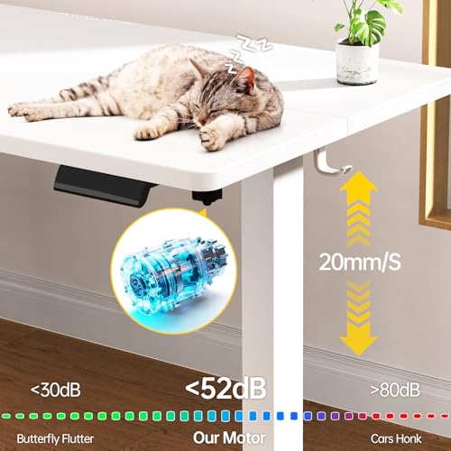 Veken 63x27.6 Inch Large Electric Standing Desk, Heights Adjustable,Sit to Stand Up, Work Home Office Computer Table for Walking Pad, Gifts for Dad, Wooden Desktop Desks, White Veken