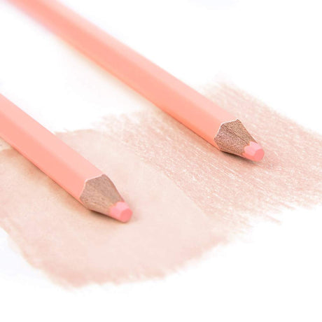 qianshan 2Pcs Flesh Light Color Watercolor Pencils Skin Tone Lead Core Pencil for Portrait Comic Adult Coloring Books Artist Coloring Drawing Sketching Blending qianshan