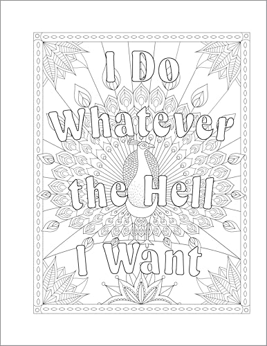 You Are a F*cking Rock Star: A Motivational Swear Word Coloring Book for Adults WoodArtSupply