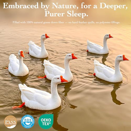 Gehtmnl Goose Down Fiber Comforter King Size – All Season Naturally Breathable Down Comforters, Luxury Hotel Collection Duvet Insert with 8 Corner Tabs, Cotton Fabric & Baffle Box (White,65oz Fill) Gehtmnl
