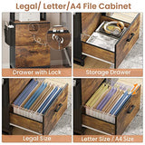 Itaar Rustic Brown 2 Drawer File Cabinet with Lock and Adjustable Storage Shelf Itaar
