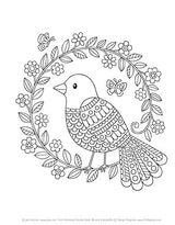Notebook Doodles Birds, Blooms & Butterflies: Coloring & Activity Book (Design Originals) 32 Inspiring Designs and Beginner-Friendly Empowering Art Activities for Tweens, on Thick Perforated Paper Design Originals