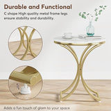 Tribesigns Set of 2 Contemporary Round Side Table, White and Gold Marble End Table (2PCS) Tribesigns