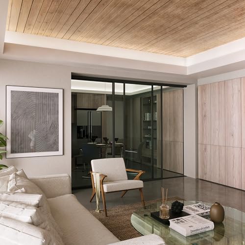 Doors 55 Glass Room Divider Panel and Partition - Perfect Partition Wall Divider & Sound Proof Dividers (Clear Glass, 120x96) Doors55