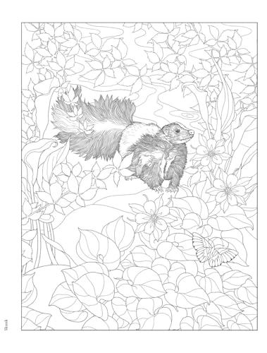 Creative Haven Forest & Woodland Wildlife Coloring Book (Adult Coloring Books: Animals) WoodArtSupply