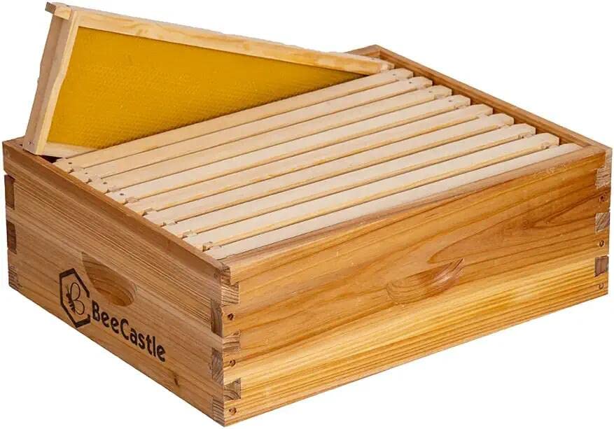 BeeCastle 10 Frame Assembled Medium Honey Super Bee Hive Box with Beehive Frames ＆ Beeswax Coated Foundation Sheets - WoodArtSupply