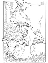Baby Animals Coloring Book (Dover Coloring Books) Dover Publications