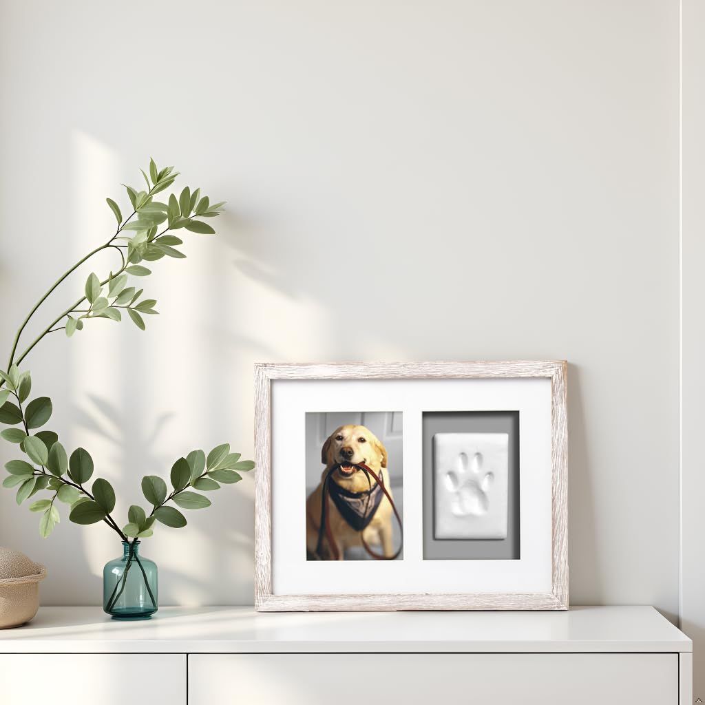 Pearhead Pet Pawprints Wall Picture Frame and Clay Impression Kit - DIY Clay Paw Print, Memorial Keepsake Frame for Cat and Dog, Ideal Home Decor Gift for Pet Owners, 4x6 Photo, Distressed White Pearhead