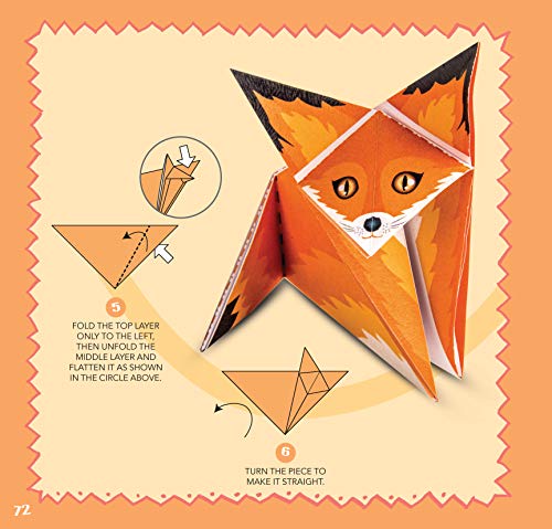 Origami for Kids: 20 Projects to Make Plus 100 Papers to Fold (Happy Fox Books) Fun and Creative Paperfolding Kit with Easy Fold Lines and Instructions for Bunnies, Crabs, Bugs, Dogs and More Happy Fox Books