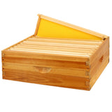 BEEINN 10 Frame Bee Hive Box, Langstroth Medium Super Bee Box Dipped in 100% Beeswax Include Beehive Frames and Waxed Foundation Sheets (Unassembled) BEEINN