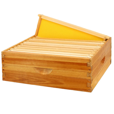 BEEINN 10 Frame Bee Hive Box, Langstroth Medium Super Bee Box Dipped in 100% Beeswax Include Beehive Frames and Waxed Foundation Sheets (Unassembled) BEEINN