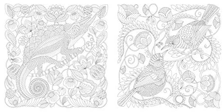 Animal Kingdom: Color Me, Draw Me (A Millie Marotta Adult Coloring Book) Union Square & Co.