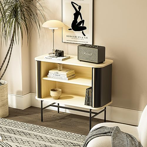 roomfitters Sideboard Buffet Cabinet with Sliding Doors, Mid Century Modern Credenza with 2 Tambour Doors, Minimalist Accent Storage Cabinet for Living Room, Media Console with Storage, Black roomfitters