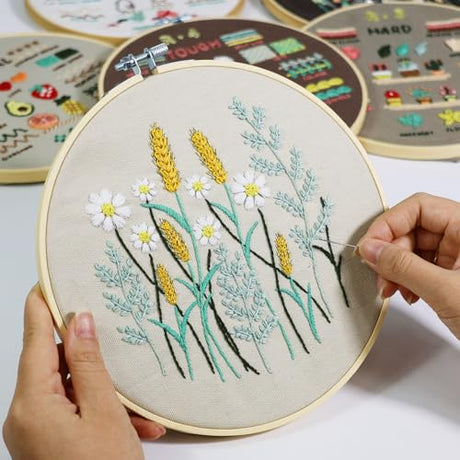 CYANFOUR 6 Stage Embroidery Kit for Beginners Adults, Easy to Learn 38 Different Stitches from Instruction & Video, Needlepoint Kits for Adults with Stamped Embroidery Patterns CYANFOUR