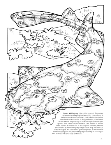 Sharks of the World Coloring Book (Dover Sea Life Coloring Books) Dover Publications