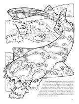 Sharks of the World Coloring Book (Dover Sea Life Coloring Books) Dover Publications