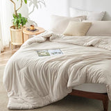 Bedsure Queen Comforter Set - Beige Soft Bedding for All Seasons, Cationic Dyed Bed Set, 3 Pieces, 1 Queen Size Comforter (90"x90") and 2 Pillow Shams (20"x26"+2") Bedsure