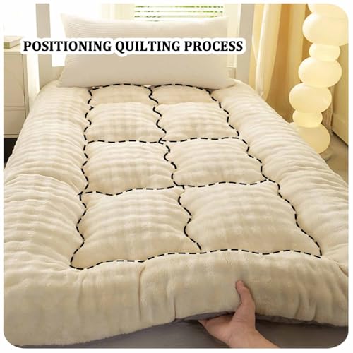 Yadlan Japanese Floor Mattress, Futon Mattress with Portable Storage Bag and Washable Cover, Roll Up Thick Tatami Mat Suitable for Camping, Guest Room Grey 45 * 45cm Yadlan