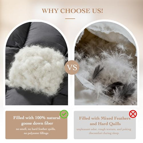 Gehtmnl Goose Down Fiber Comforter Queen Size – All Season Naturally Breathable Down Comforters, Luxury Hotel Collection Duvet Insert with 8 Corner Tabs, Cotton Fabric & Baffle Box (Dark Gray,50oz) Gehtmnl
