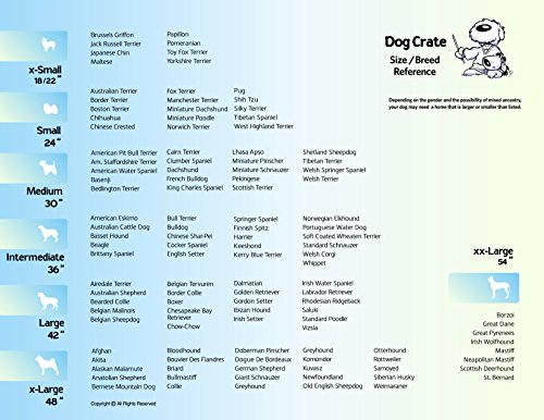 MidWest Homes for Pets Newly Enhanced Double Door iCrate Dog Crate, Includes Leak-Proof Pan, Floor Protecting Feet, Divider Panel & New Patented Features - WoodArtSupply