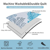 Tritard 3 Piece Coastal Quilt Sets Full/Queen Size - Reversible Microfiber Quilts with 2 Shams Soft Lightweight Beach Bedding Nautical Bedspread Coverlet Summer Comforter for All Season, 90''x96'', C1 Tritard