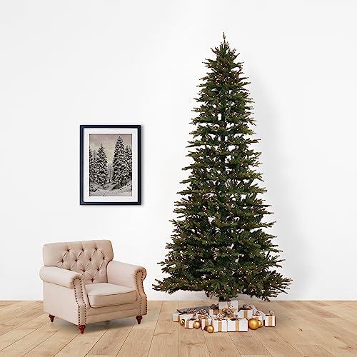 11ft. Belgium Fir Natural-Look Artificial Christmas Tree with 1250 Clear LED Lights and 4222 Bendable Branches