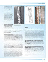 Farm and Workshop Welding, Third Revised Edition: Everything You Need to Know to Weld, Cut, and Shape Metal (Fox Chapel Publishing) Learn and Avoid Common Mistakes with Over 400 Step-by-Step Photos Fox Chapel Publishing