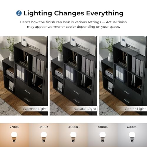 Homes: Inside + Out Apexa 2-Tier Cube Storage Organizer Shelves, Stackable Wood Bookcase Fits Cubby Bins for Organization, Dorm Teen Room Decor & Home Office, Black HOMES: INSIDE + OUT
