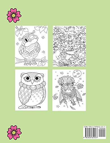 Owls Coloring Book for Kids Blue Wave Press