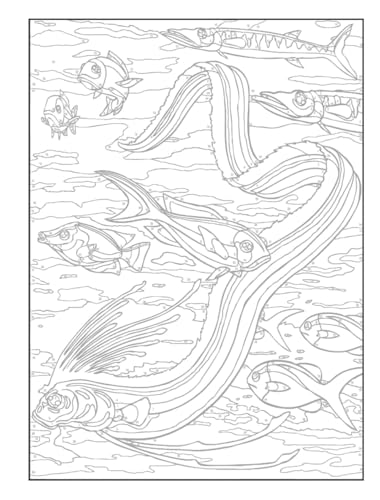 Creative Haven Sea Life Color by Number Coloring Book (Adult Coloring Books: Sea Life) Dover Publications
