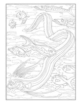 Creative Haven Sea Life Color by Number Coloring Book (Adult Coloring Books: Sea Life) Dover Publications
