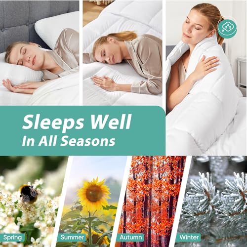 Minoroty Twin Comforter Duvet Insert - All Season Down Alternative Quilted Bed Comforters Twin Size with Corner Tabs - Machine Washable - White Minoroty