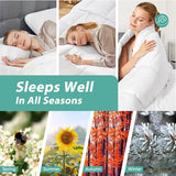 Minoroty Twin Comforter Duvet Insert - All Season Down Alternative Quilted Bed Comforters Twin Size with Corner Tabs - Machine Washable - White Minoroty