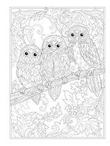 Creative Haven Birds and Blossoms Coloring Book (Adult Coloring Books: Animals) Dover Publications