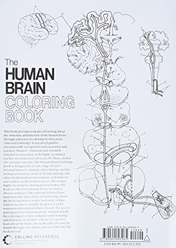 The Human Brain Coloring Book: A Coloring Book (Coloring Concepts)