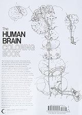 The Human Brain Coloring Book: A Coloring Book (Coloring Concepts) Collins Reference