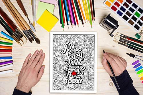 A Swear Word Coloring Book for Adults: Eat A Bag of D*cks Honey Badger Coloring