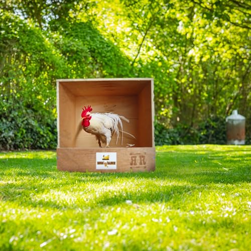 Rugged Range Products Studio 12 x 12 x 12 Inch Flat Wooden Single Compartment Chicken Coop Interior Poultry Bird Egg Animal Nesting Box Roosting Cubby Rugged Ranch