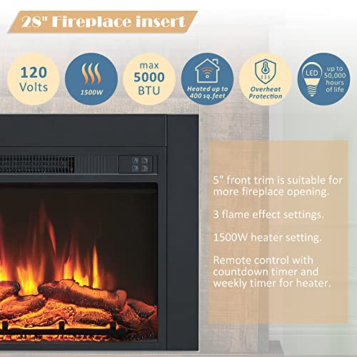 Efiretric® Adam Electric Fireplace Insert with Front Trim Kit, 23" W x 17" H (EF447) with Front Trim Kit, 1500W Heater, Remote Control and Timer EFIRETRIC
