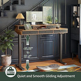 FEZIBO Height Adjustable Electric Standing Desk with 5 Drawers, 48 x 24 Inch Table with Storage Shelf, Sit Stand Desk Black Frame/Rustic Brown Top, 48 inch FEZIBO