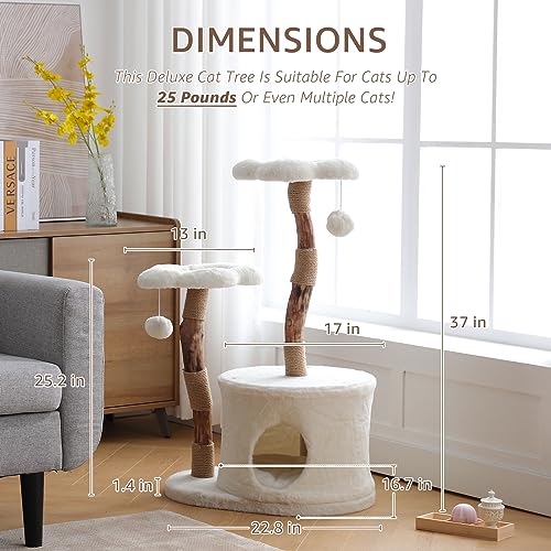 NATURAL EXPRESSIONS Modern Cat Tree and Tower for Indoor, Luxury Solid Wood Cat Condo for Large Cats, Flower Cat Tree with Scratching Post, Cat