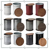 Rustic Storage Ottoman Seat Stool, Farmhouse Accent Side Table, Antique Galvanized Metal End Table Box Bin with Round Wooden Lid Set of 2 (Galvanized) Rustee