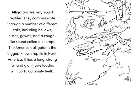 Wild Animal Book for Kids: Coloring Fun and Awesome Facts (A Did You Know? Coloring Book)